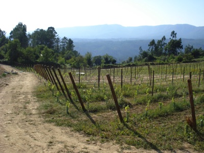 Ambiente Rural