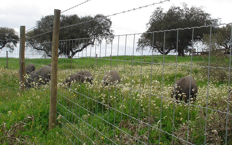 VEDAÇÕES AGRÍCOLAS